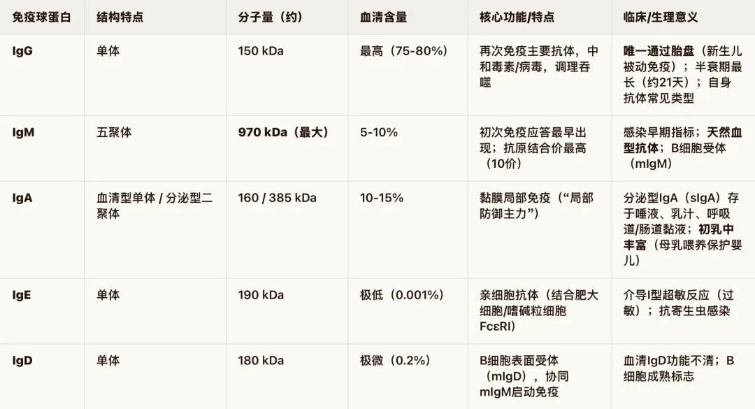 2026医学基础知识真题(8月7号)-第1张图片-四季读书网 2026医学基础知识真题(8月7号)-第1张图片-四季读书网