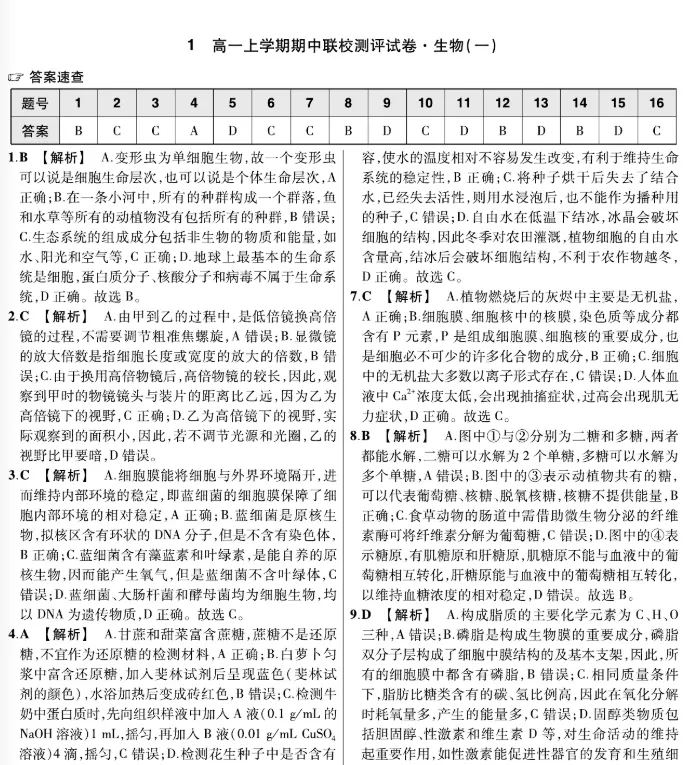2026高一上学期期中测试试卷及答案-第33张图片-四季读书网 2026高一上学期期中测试试卷及答案-第33张图片-四季读书网