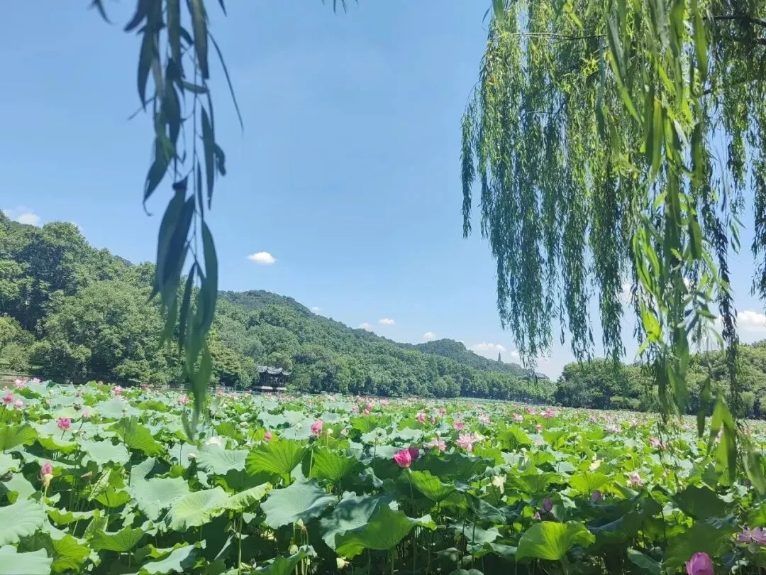 中考后的承诺:咬牙带女儿8天双城游,有崩溃有惊喜,这才是旅行的真实模样-第11张图片-四季读书网