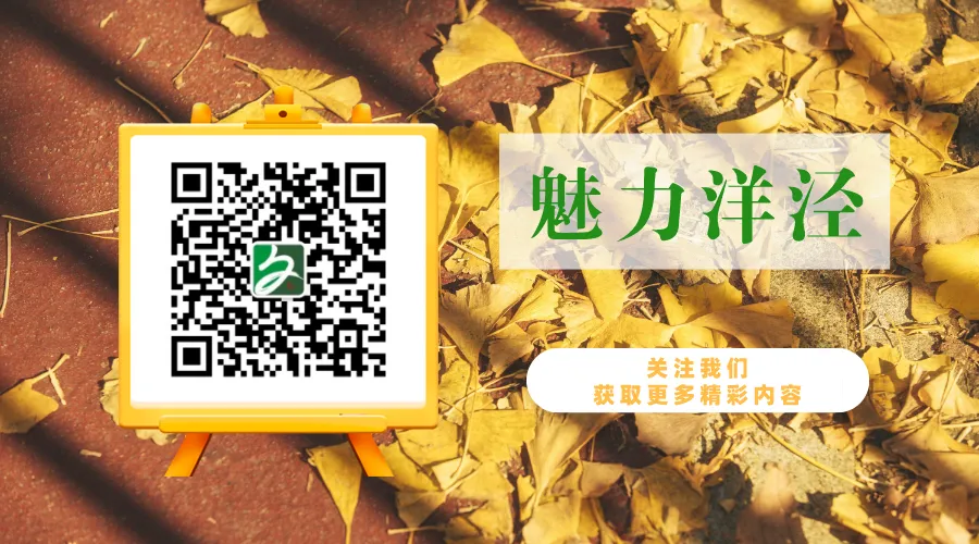 名师洋泾专场!解析2027届新中考改革、升学趋势与备考路径-第22张图片-四季读书网
