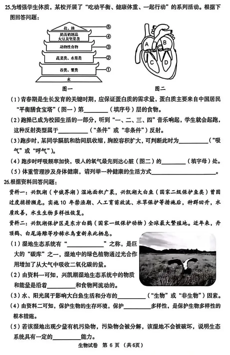 【2026中考试题】2026年黑龙江龙东地区中考生物试题及答案-第6张图片-四季读书网 【2026中考试题】2026年黑龙江龙东地区中考生物试题及答案-第6张图片-四季读书网