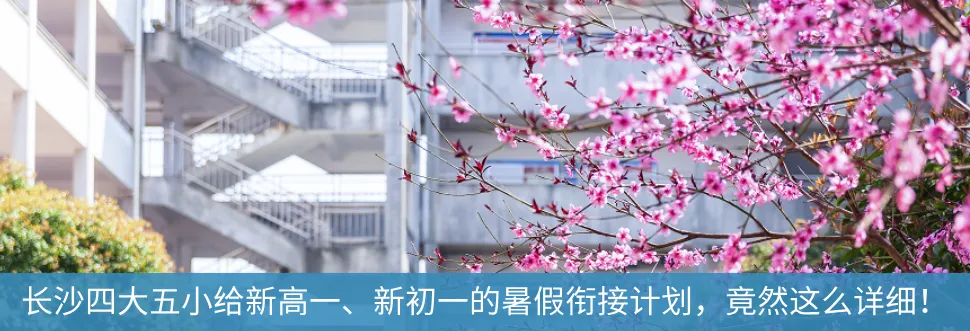 喜报!长沙106个配套入学楼盘对口学校中考成绩曝光!这些学校超牛!-第48张图片-四季读书网 喜报!长沙106个配套入学楼盘对口学校中考成绩曝光!这些学校超牛!-第48张图片-四季读书网
