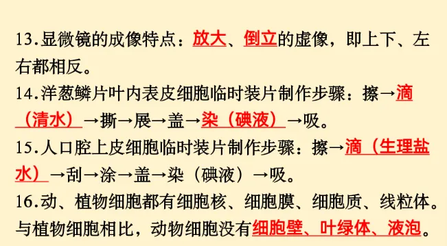 初中生物 | 中考必背核心知识点120条-第5张图片-四季读书网