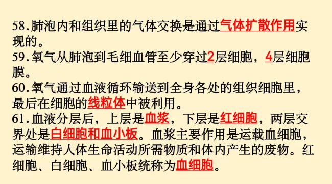 初中生物 | 中考必背核心知识点120条-第19张图片-四季读书网