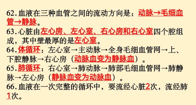 初中生物 | 中考必背核心知识点120条-第20张图片-四季读书网