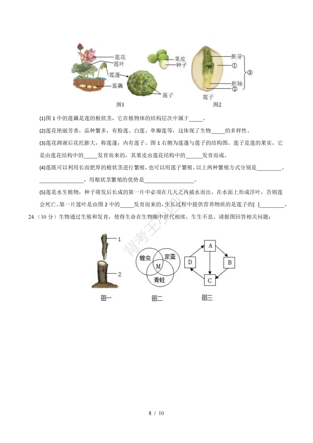 2026年山东省八年级上学期开学考试生物、地理模拟试题-第9张图片-四季读书网 2026年山东省八年级上学期开学考试生物、地理模拟试题-第9张图片-四季读书网