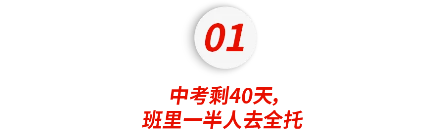40天花20多万,中产重仓“中考全托”,结果出来了-第4张图片-四季读书网 40天花20多万,中产重仓“中考全托”,结果出来了-第4张图片-四季读书网