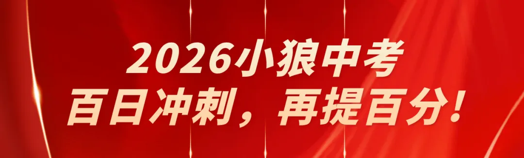 小狼45班中考喜报|23人涨幅破百分,见证跨多地生源成长逆袭的故事-第4张图片-四季读书网