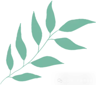 广州中考第四批录取结果已公布!未被录取的考生可以看看这些学校的自主招生!-第23张图片-四季读书网 广州中考第四批录取结果已公布!未被录取的考生可以看看这些学校的自主招生!-第23张图片-四季读书网