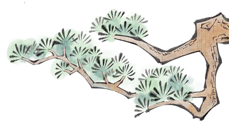 溯源高龙文脉 砺志决战中考 | 温岭市宗文中学九(11)班暑期实践活动-第13张图片-四季读书网