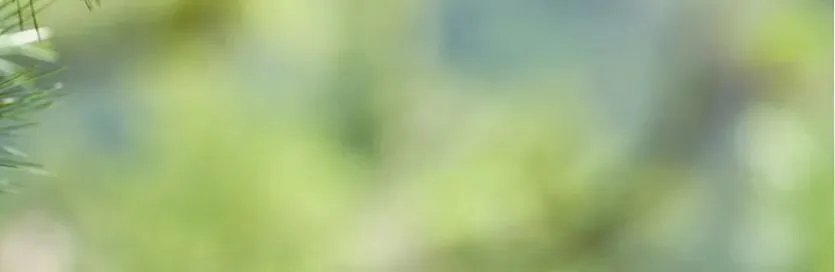 中考600分的琵琶高手,来看看这位下中女孩如何兼顾?-第14张图片-四季读书网