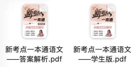 2027上海中考复习|新考点一本通语文-第4张图片-四季读书网 2027上海中考复习|新考点一本通语文-第4张图片-四季读书网