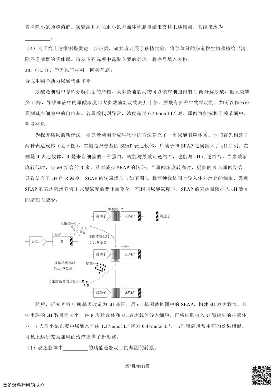 2026北京高考真题生物试卷(含答案)-第7张图片-四季读书网 2026北京高考真题生物试卷(含答案)-第7张图片-四季读书网