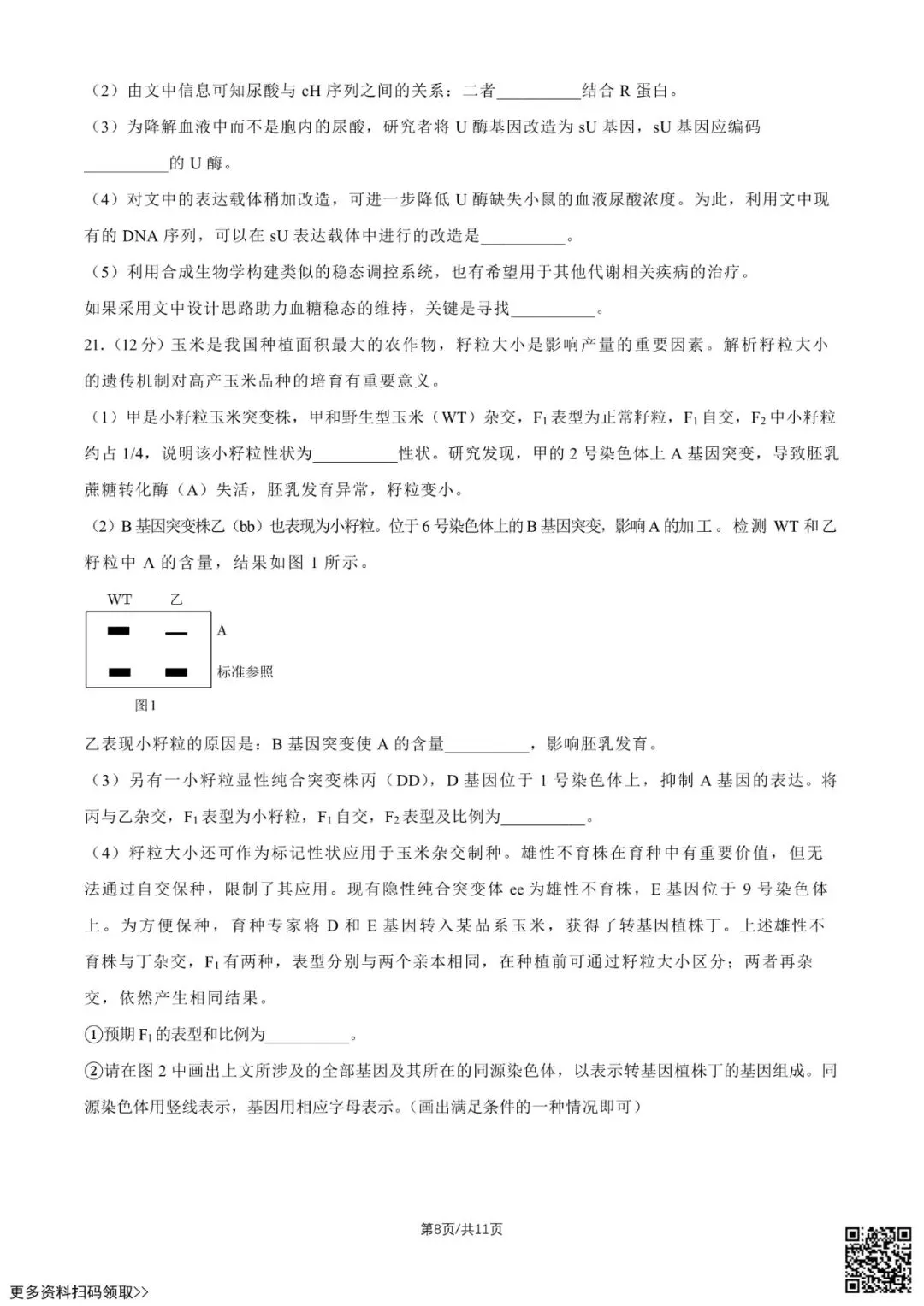 2026北京高考真题生物试卷(含答案)-第8张图片-四季读书网 2026北京高考真题生物试卷(含答案)-第8张图片-四季读书网