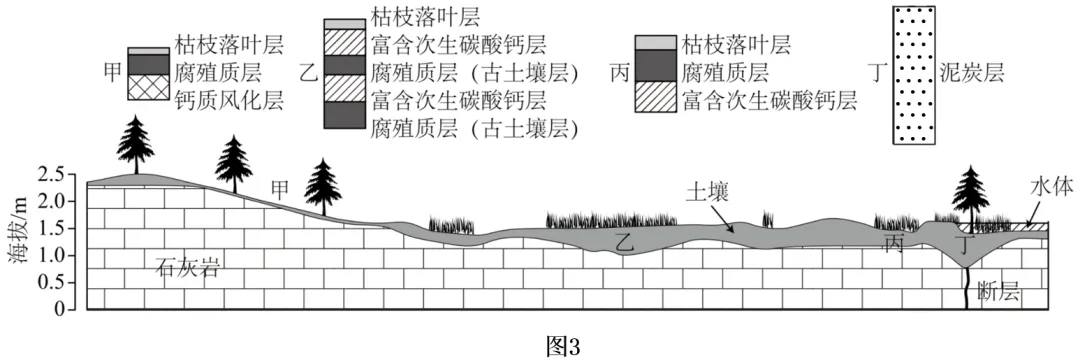 真题分析 || 2026山东地理小型洼地组成的热带湿地景观及甲、乙、丙、丁四处的土壤剖面-第2张图片-四季读书网 真题分析 || 2026山东地理小型洼地组成的热带湿地景观及甲、乙、丙、丁四处的土壤剖面-第2张图片-四季读书网