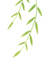 台风天镇宅好物分享|省统考后三年真题-24-26年浙江中考数学卷含答案-第31张图片-四季读书网