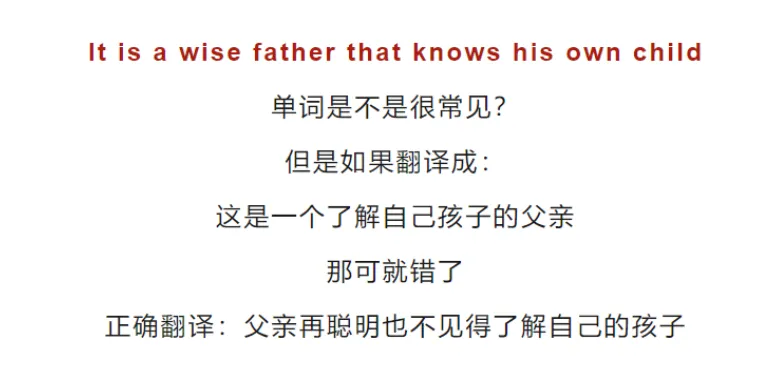 一笔真题很多人把这句话译反了?关于“it is...that...”结构的翻译争议-第3张图片-四季读书网