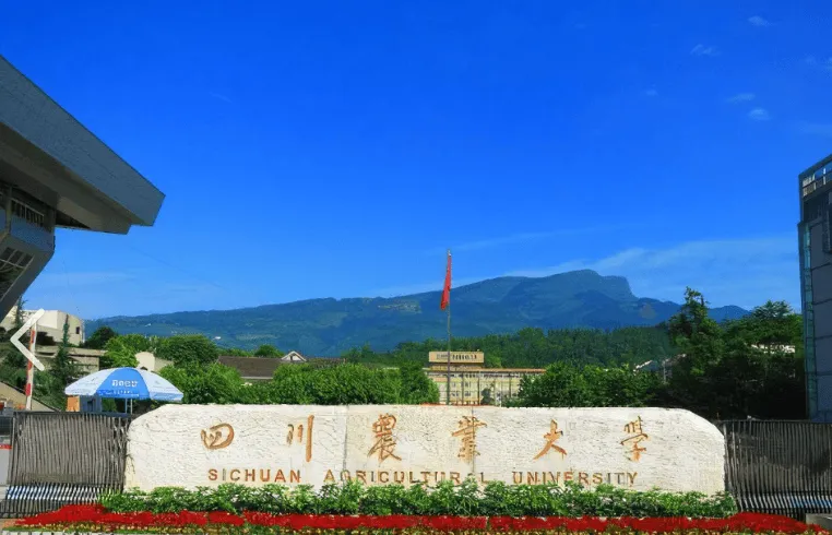 川农大体育考研备考攻略暨2027年四川农业大学体育考研招生简章、专业目录、参考书目、资料、复试分数线、历年及学校简介!-第3张图片-四季读书网