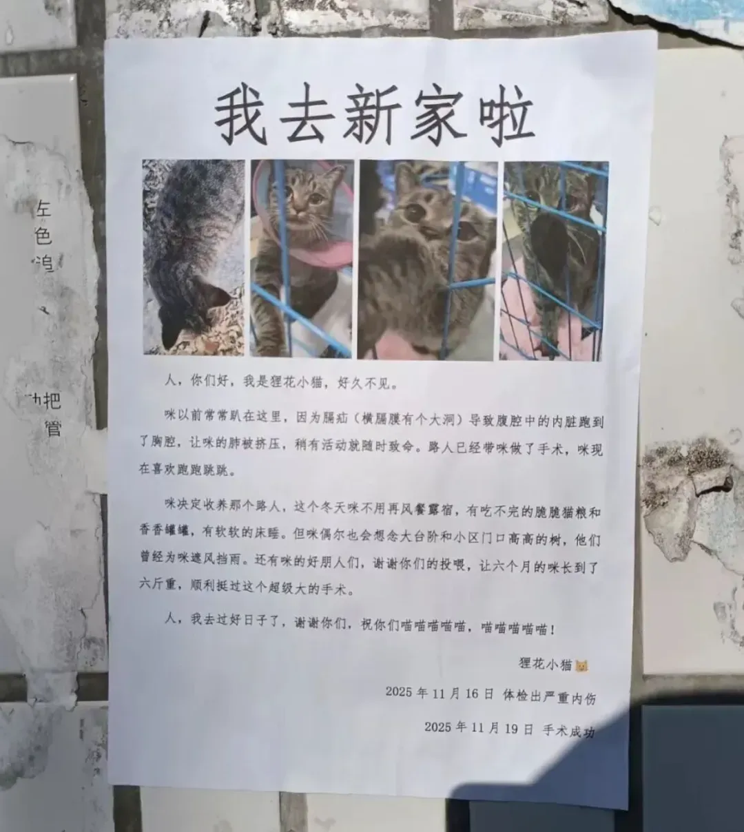 高校一则“告示”,登上浙江语文中学试卷!-第3张图片-四季读书网 高校一则“告示”,登上浙江语文中学试卷!-第3张图片-四季读书网