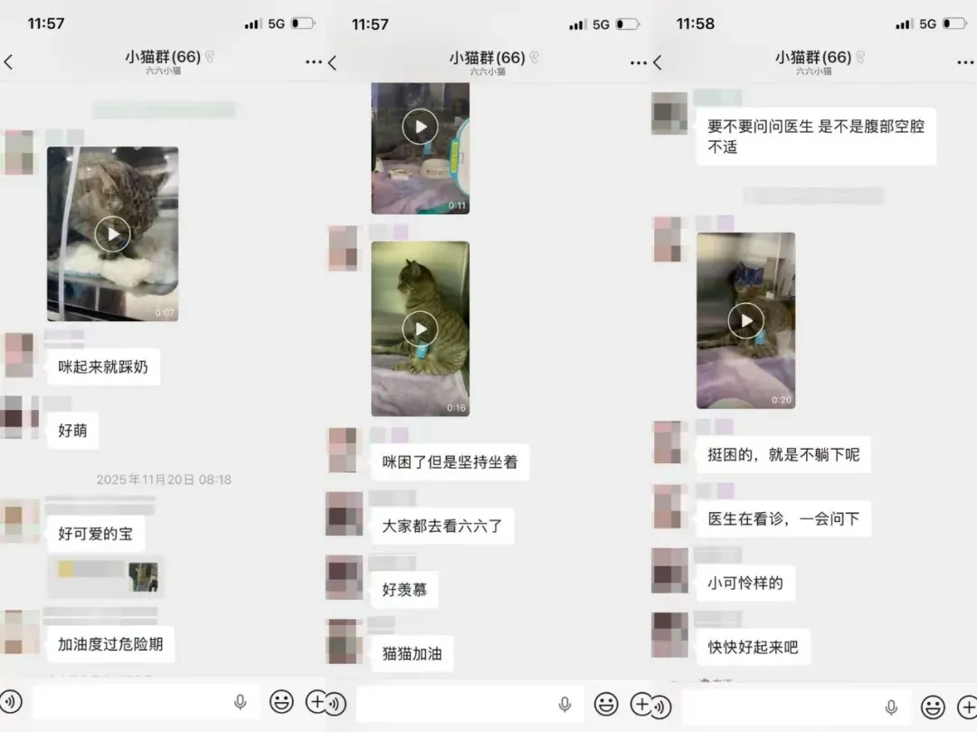 高校一则“告示”,登上浙江语文中学试卷!-第11张图片-四季读书网 高校一则“告示”,登上浙江语文中学试卷!-第11张图片-四季读书网