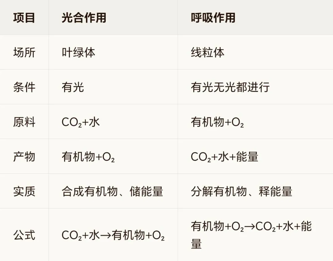 中考生物 | 植物的生活:核心知识+高频陷阱-第1张图片-四季读书网 中考生物 | 植物的生活:核心知识+高频陷阱-第1张图片-四季读书网