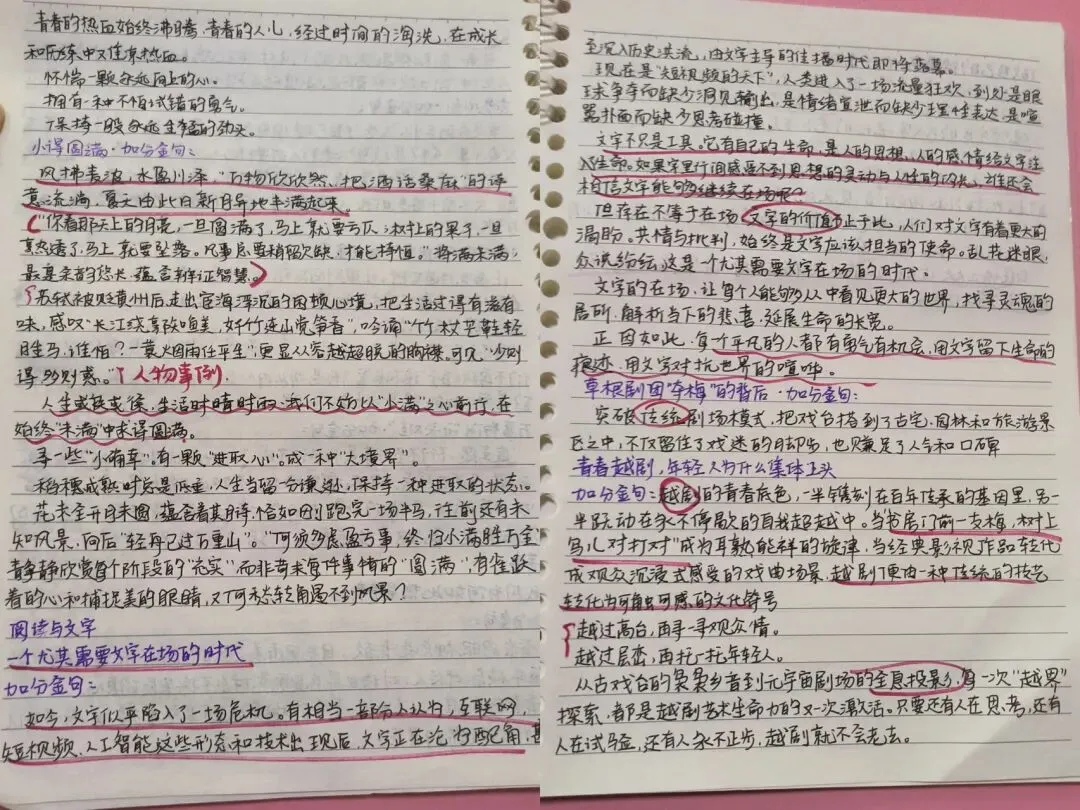 经验分享|中考 113 分采荷学姐跳出低效备考的语文学习心得-第1张图片-四季读书网