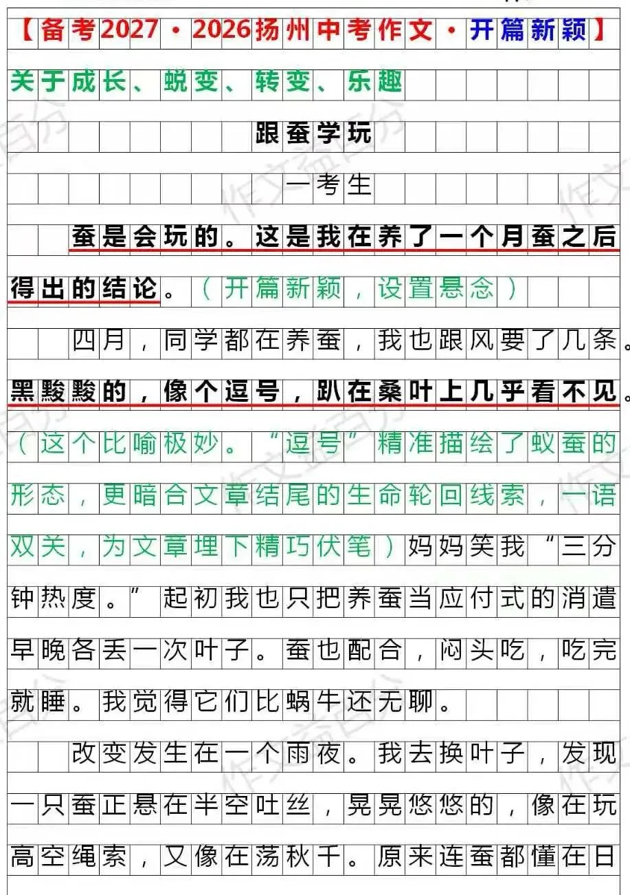 【备考2027】2026扬州中考真题:跟蚕学玩 | 成长类 | 作文素材-第1张图片-四季读书网