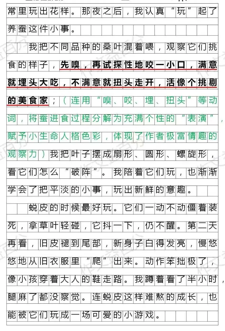 【备考2027】2026扬州中考真题:跟蚕学玩 | 成长类 | 作文素材-第2张图片-四季读书网