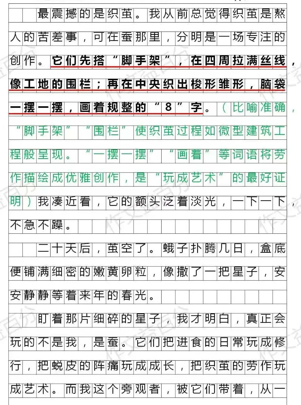 【备考2027】2026扬州中考真题:跟蚕学玩 | 成长类 | 作文素材-第3张图片-四季读书网
