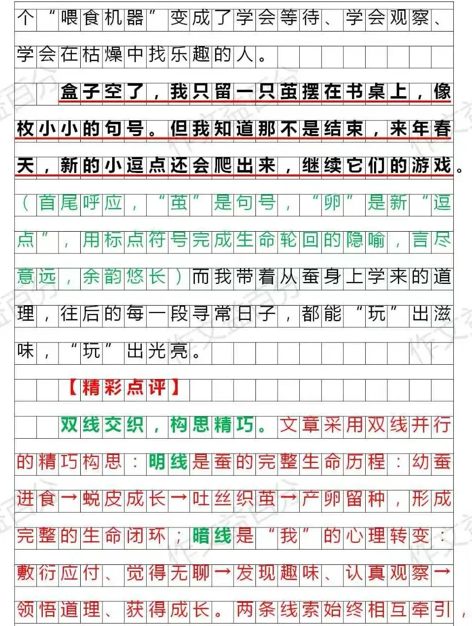 【备考2027】2026扬州中考真题:跟蚕学玩 | 成长类 | 作文素材-第4张图片-四季读书网