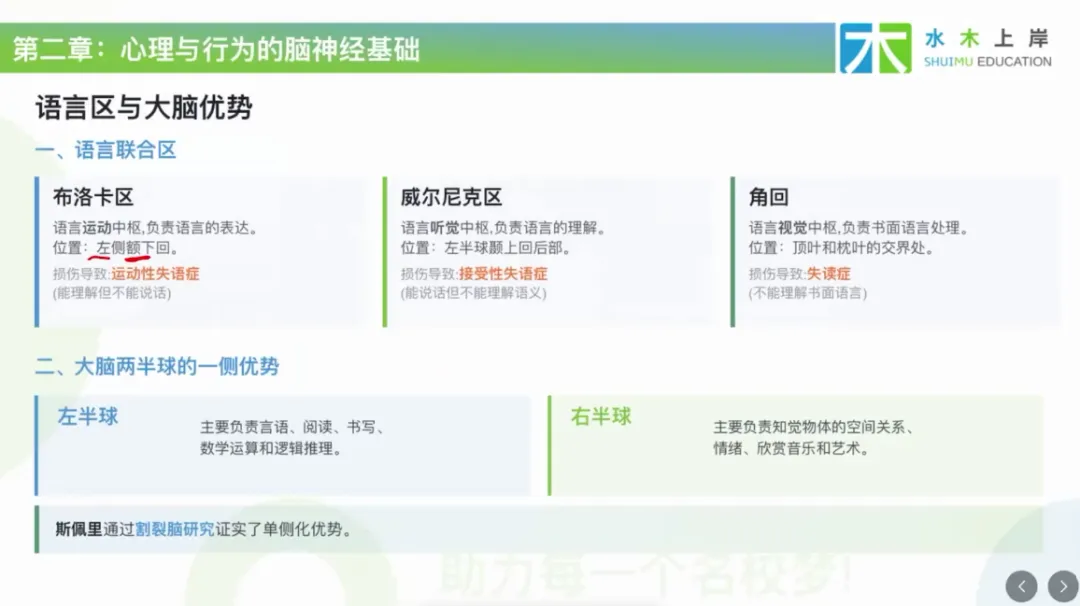 北大347丨普心带背回顾:知觉特性真题实例+工作记忆四成分-第6张图片-四季读书网 北大347丨普心带背回顾:知觉特性真题实例+工作记忆四成分-第6张图片-四季读书网