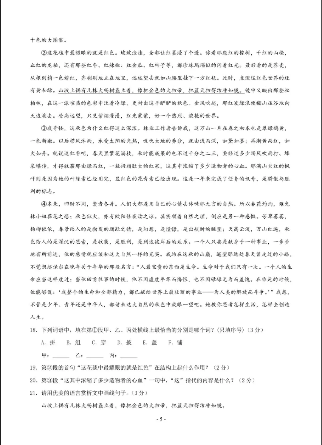 2026年七年级上册语文(新初一)分班考试模拟卷,共6套,电子版可打印-第6张图片-四季读书网