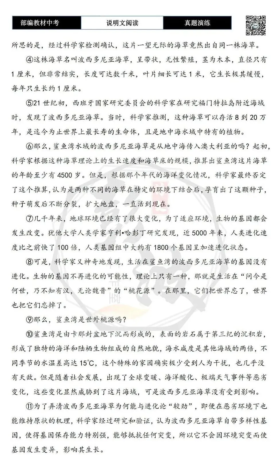 【中考专项-说明文阅读9讲】课件+文本+例文实战-04说明文语言赏析(5元)-第57张图片-四季读书网