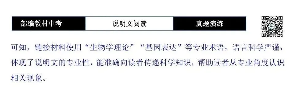 【中考专项-说明文阅读9讲】课件+文本+例文实战-04说明文语言赏析(5元)-第59张图片-四季读书网