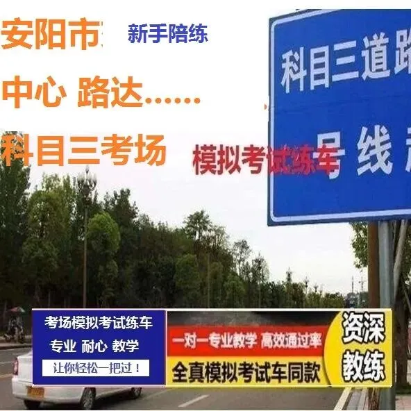 安阳市科目二,科目三考场考试视频专业讲解路线图模拟练车新手陪练教程-第13张图片-四季读书网