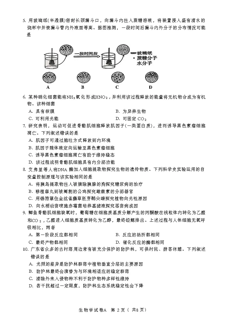2026年广东省高考生物试卷(共8页)-第2张图片-四季读书网
