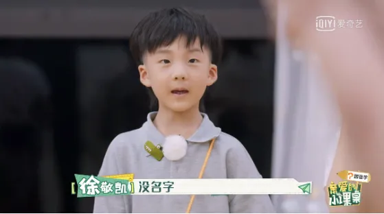 7岁男孩假期做376张试卷:用力过猛的背后,隐藏着这些“阴谋”-第4张图片-四季读书网