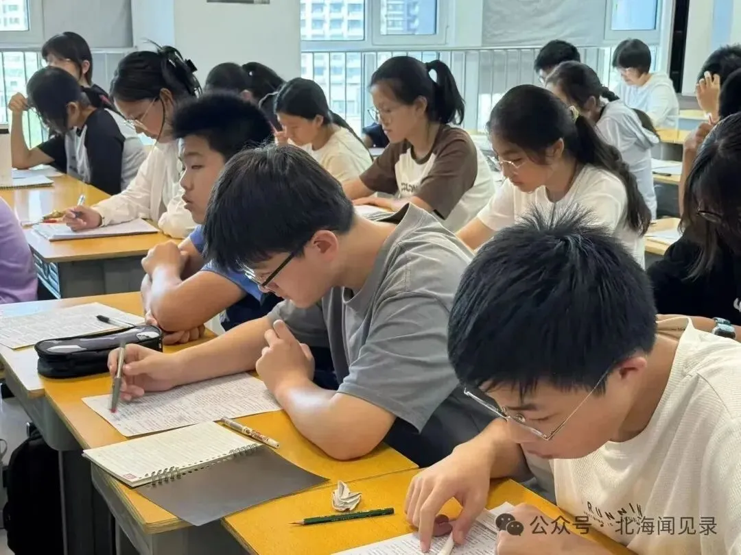 课改之后语文无捷径:山东统一中考【语文】综合素养答题训练课程核心-第19张图片-四季读书网