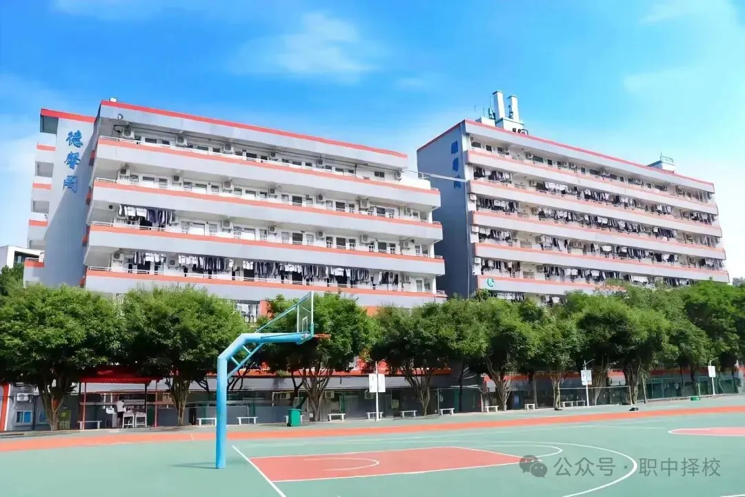 中考滑档必看!广州 2026 公办中职录取分数线出炉|补录院校名单整理好了-第78张图片-四季读书网 中考滑档必看!广州 2026 公办中职录取分数线出炉|补录院校名单整理好了-第78张图片-四季读书网