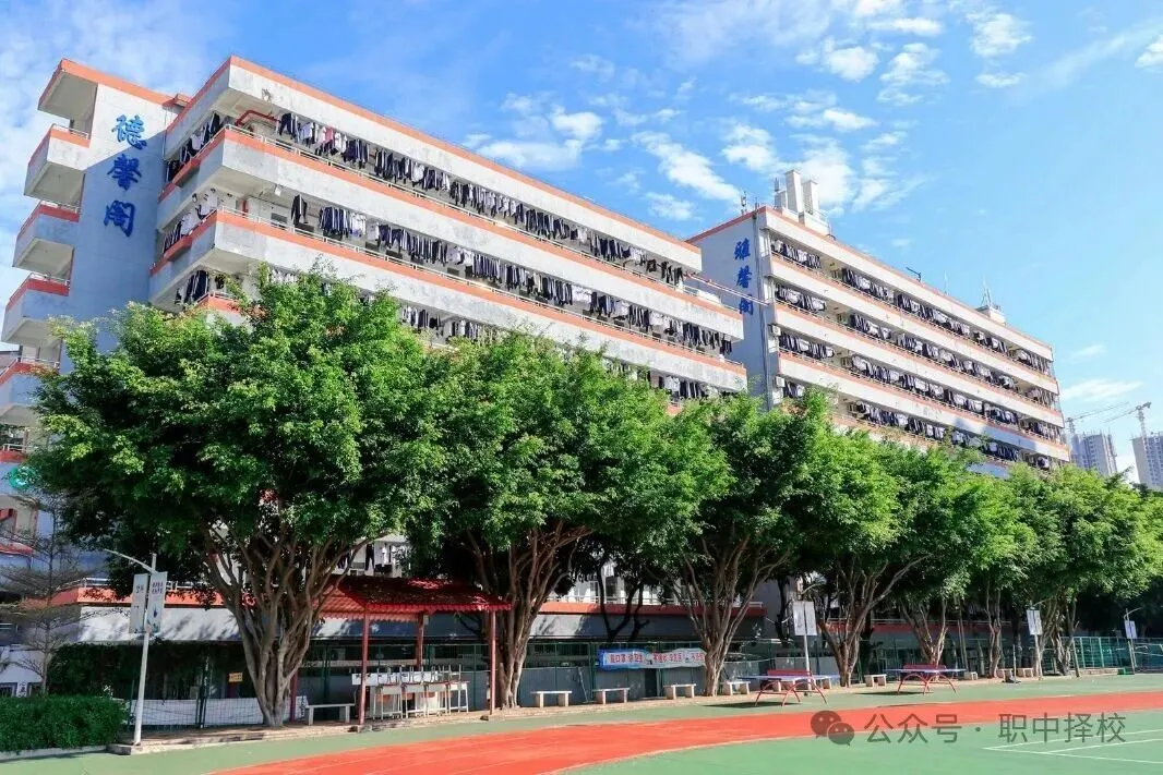 中考滑档必看!广州 2026 公办中职录取分数线出炉|补录院校名单整理好了-第81张图片-四季读书网 中考滑档必看!广州 2026 公办中职录取分数线出炉|补录院校名单整理好了-第81张图片-四季读书网