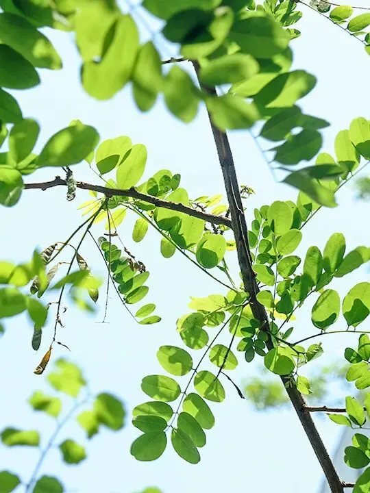 27中医考研|真题怎么刷,才算是有效复习?-第29张图片-四季读书网