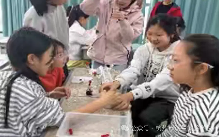 滨江黑马热度持续上升!滨兰实验2026中考成绩单曝光!与学军小初高一体化拔尖培养成效凸显!-第20张图片-四季读书网 滨江黑马热度持续上升!滨兰实验2026中考成绩单曝光!与学军小初高一体化拔尖培养成效凸显!-第20张图片-四季读书网