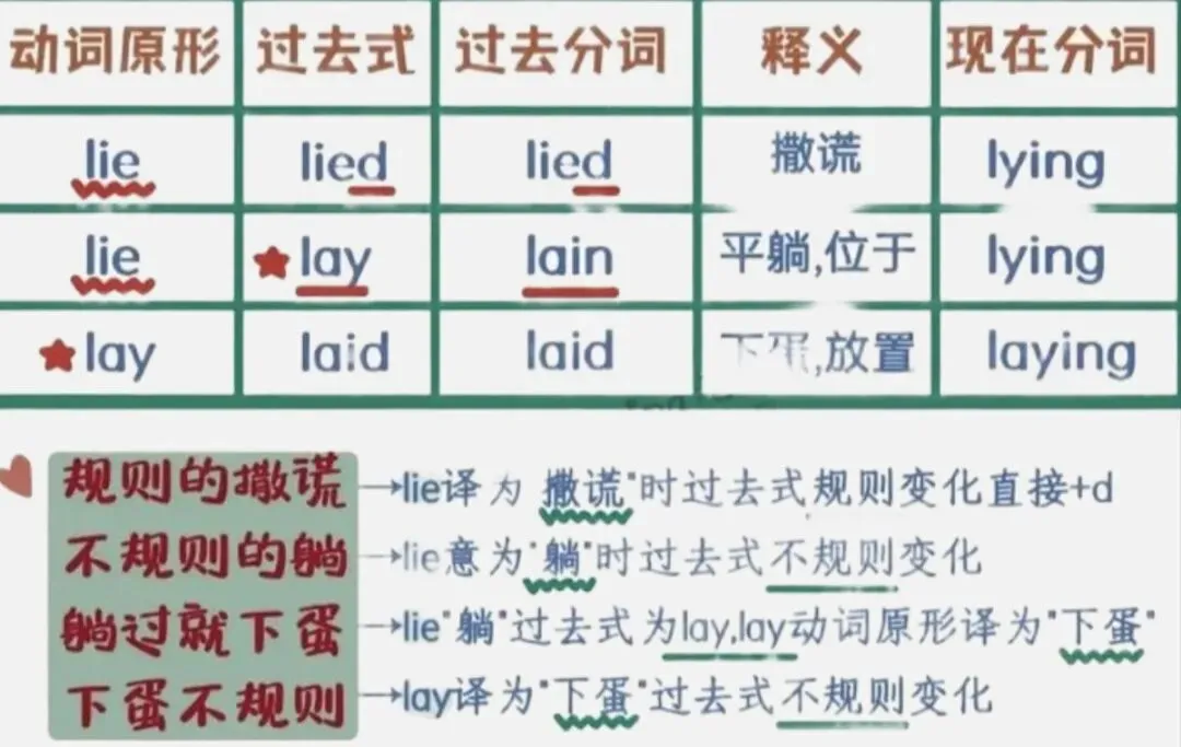 中考英语高频词 · 暑期每日打卡 Day 26-30(最后一周+合集)-第1张图片-四季读书网