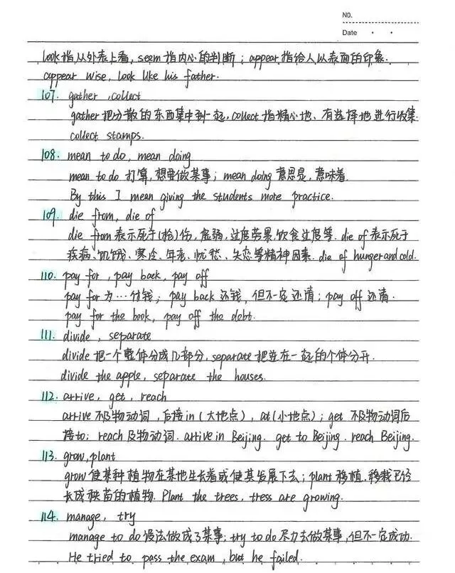 中考状元的英语笔记(114个易混词+词类与句子成分+名词详细笔记梳理)-第13张图片-四季读书网 中考状元的英语笔记(114个易混词+词类与句子成分+名词详细笔记梳理)-第13张图片-四季读书网