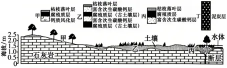 真题速递 I 2026年山东卷-第3张图片-四季读书网 真题速递 I 2026年山东卷-第3张图片-四季读书网
