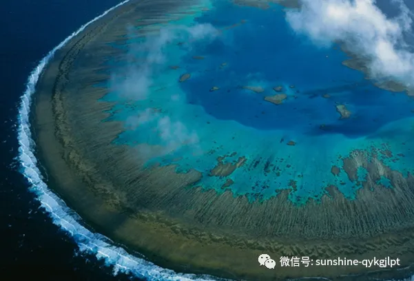 2026年广东卷高考真题18题深度解析——中药气象小镇-第15张图片-四季读书网 2026年广东卷高考真题18题深度解析——中药气象小镇-第15张图片-四季读书网