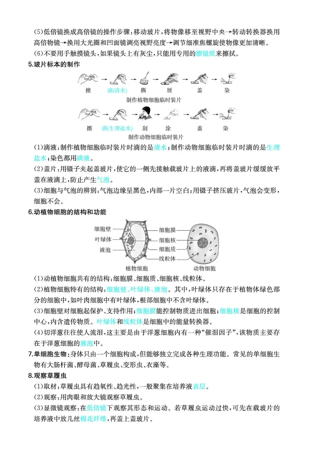 中考生物考点:生物体的机构层次-第3张图片-四季读书网 中考生物考点:生物体的机构层次-第3张图片-四季读书网