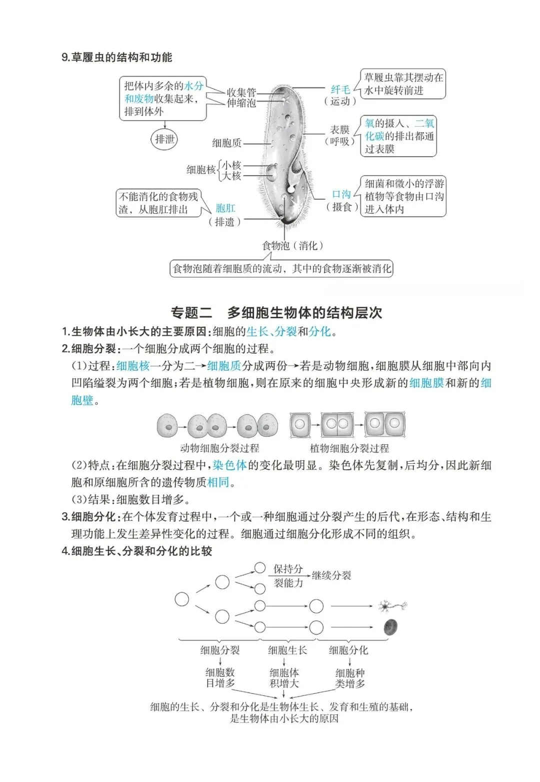 中考生物考点:生物体的机构层次-第4张图片-四季读书网 中考生物考点:生物体的机构层次-第4张图片-四季读书网