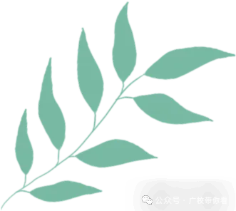 中考滑档、落榜考生别着急,广州这些优质技校还有少量补录名额-第13张图片-四季读书网 中考滑档、落榜考生别着急,广州这些优质技校还有少量补录名额-第13张图片-四季读书网