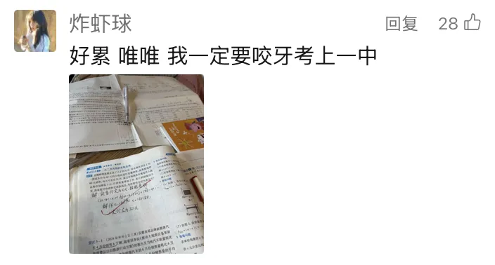 中考加油短信|你的每一份努力,都有回信-第18张图片-四季读书网 中考加油短信|你的每一份努力,都有回信-第18张图片-四季读书网